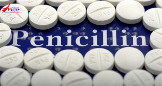 Kháng sinh nhóm penicillin
