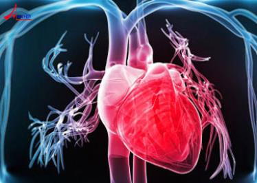 Mười điều cần biết để ngăn ngừa bệnh tim mạch